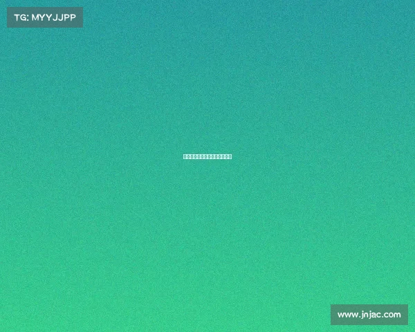 赛事运作的各个阶段的主要工作