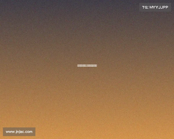 国际泰拳赛事;国际泰拳理事会